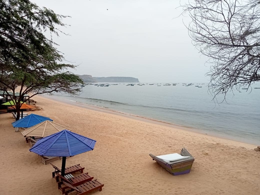 Foto — guarda-sóis e espreguiçadeiras na praia